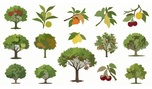 Fruit tree collection with close up branches and detailed leaves in colorful botanical vector illustration