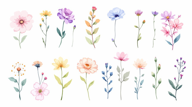 Neutral toned flower illustration arranged in a circular layout perfect for calm and sophisticated designs.