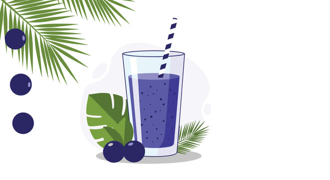 Açaí 画像転載禁止 ♡ Acai Fruit
