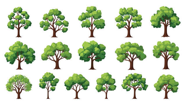 Large set of various green deciduous trees with different crown shapes and branch structures isolated on a plain white background.