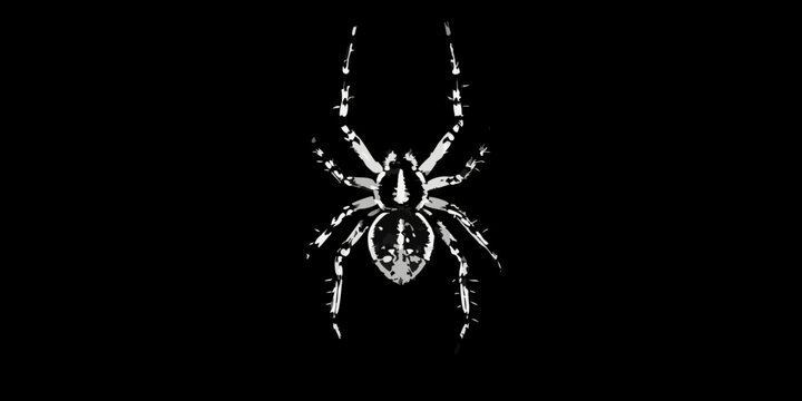 Striking spider with detailed legs against a dark background silhouette