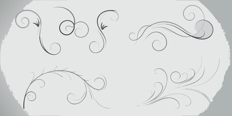 Fototapeta premium Elegant gray swirls and flourishes create a decorative design element