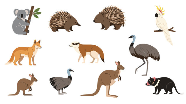 Illustrations of iconic Australian wildlife featuring a koala, kangaroo, emu, echidna, wombat, cockatoo, and Tasmanian devil.