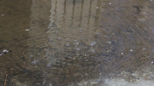 Gas bubbles in muddy water puddle during spring thaw