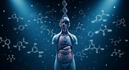 Fototapeta premium Human Anatomy and Molecular Structures - A Scientific Visualization.