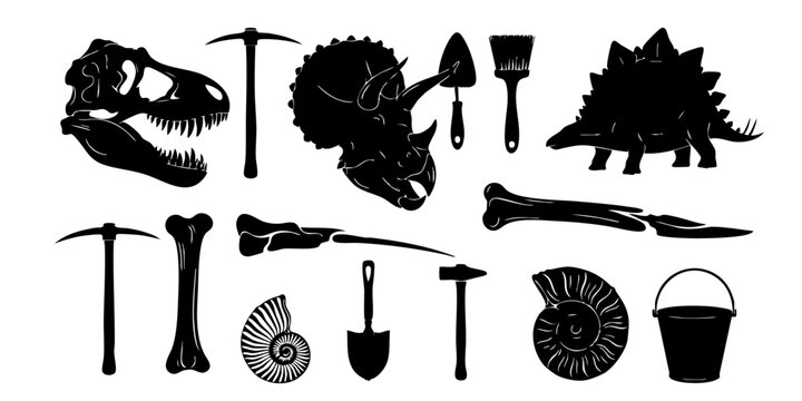 A collection of dinosaur fossils and excavation tools on a white background