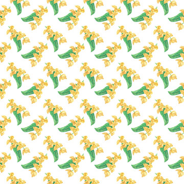 Seamless pattern of hand-drawn White Cheesewood flowers, yellow Thai tropical floral background.