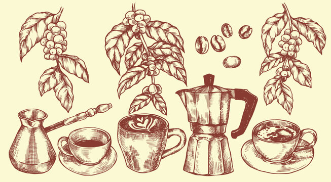 Set with coffee, beans, drinks, coffee maker. Vector illustration in vintage sketch style
