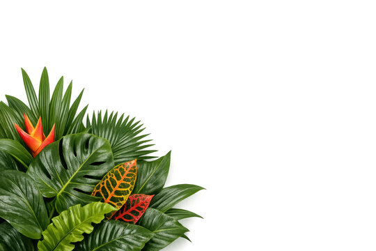 Tropical green leaves with bird of paradise flower creating border