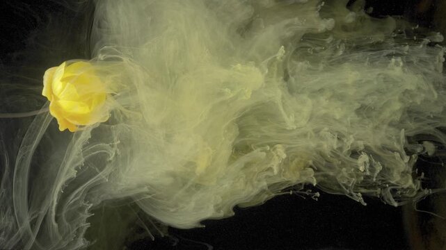 Yellow tulip swept by ink, turbulent currents and dense plumes engulf bloom, high energy experimental underwater capture, bold artistic motion