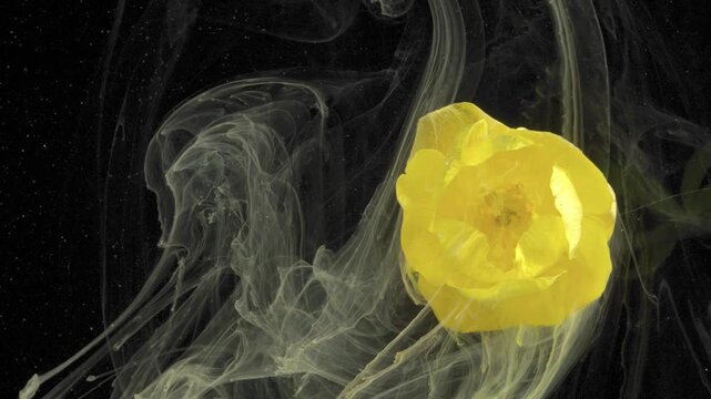 Glowing yellow tulip with swirl, thick pigment currents wrap flower, highspeed capture, vibrant motion, abstract art studio experiment