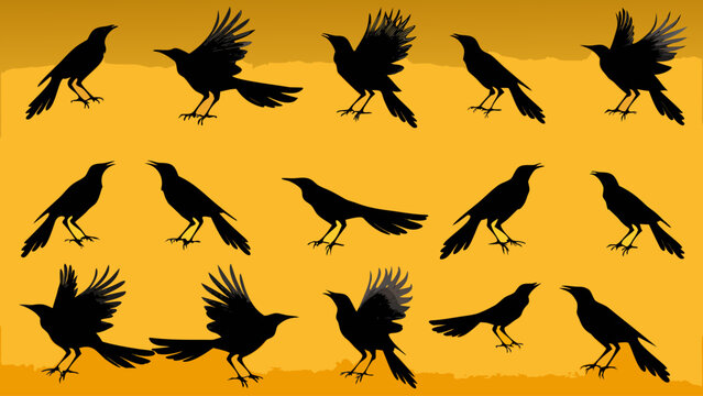 set of silhouettes of birds