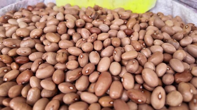 Raw brown kidney beans close up motion showing texture and organic agricultural abundance.