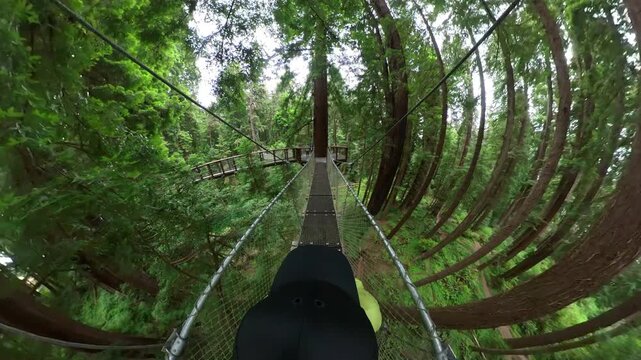 Redwood Forest Suspension Bridge Walking POV 03 California USA