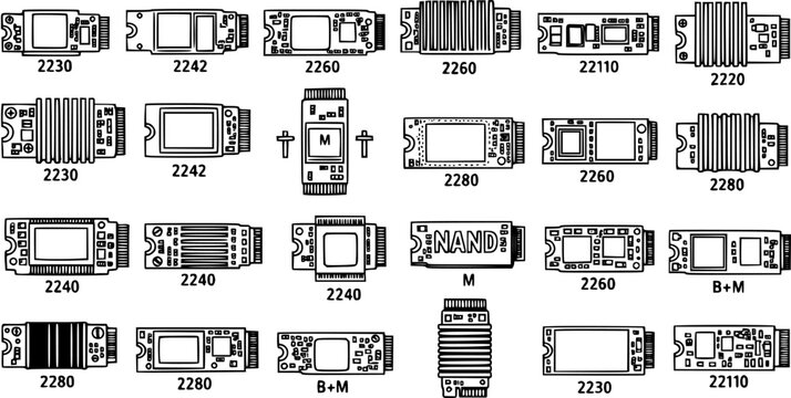 Black and White Line Art Illustration of Various M.2 NVMe SSD Modules