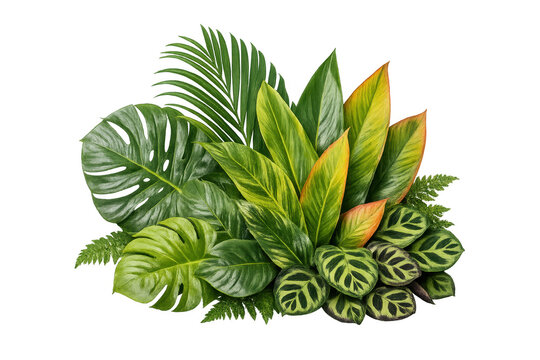 Tropical green foliage arrangement with a transparent background