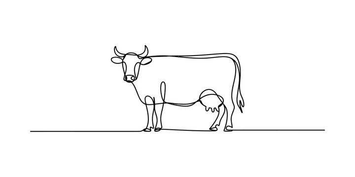 A minimalist single line drawing of a dairy cow standing on a flat ground against white background Vector, illustration