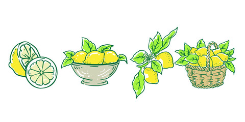 Set of hand drawn lemon doodle style. Whimsical lemon fruits, branches with leaves, fruit bowl, and basket. Vintage sketch vector in Mediterranean style. Summer illustration design