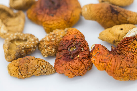 red fly agaric mushrooms containing muscimol