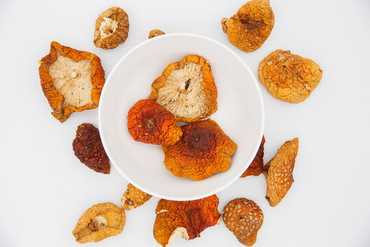 red fly agaric mushrooms containing muscimol