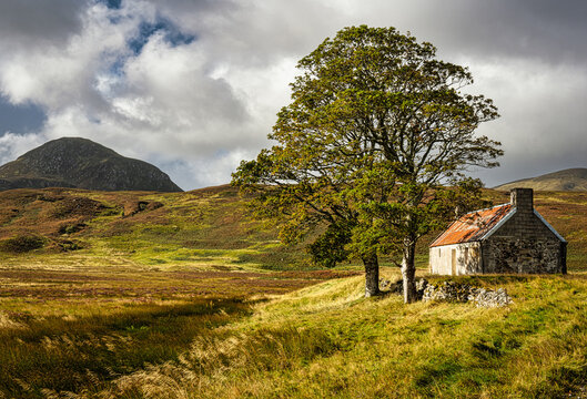 Lettermore cottage in the Flow Country