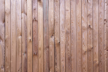 Fresh Light Pine Wood Cladding Texture 