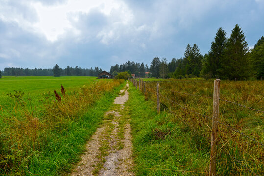 Wanderweg am Elbsee bei Aitrang im bayerischen Ostallg&auml;u