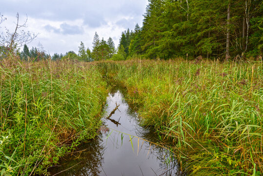 Der Elbbach am Elbsee bei Aitrang im bayerischen Ostallg&auml;u	