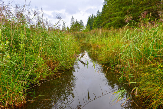 Der Elbbach am Elbsee bei Aitrang im bayerischen Ostallg&auml;u	