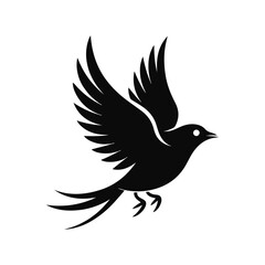 Fototapeta premium Black Silhouette of a Flying Bird with Spread Wings