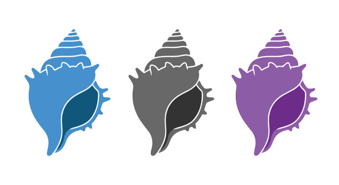 Three stylized seashell illustrations in blue, gray, and purple against a white background, representing marine life