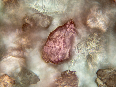 Thulite pigment microscope close up with upright pink crystal and radiating pale textures, field of view 250 &micro;m