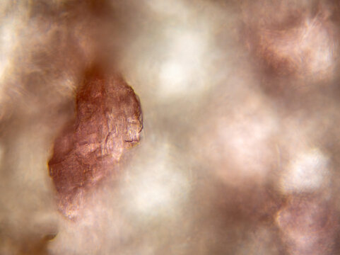 Thulite pigment microscope view with partially obscured red crystal in soft diffuse field, field of view 250 &micro;m