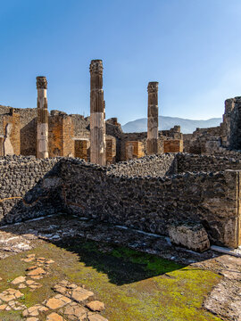 Architectural landscape of Pompeii peristyle showing colonnaded garden space with trees and volcano backdrop, demonstrating Roman mastery of proportion and natural integration.