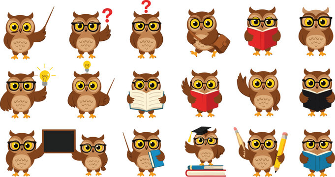 Cute Owl Cartoon Character Set Showing Different Emotions Actions and Accessories for Education Illustration Mascot Design and Storytelling Scenes