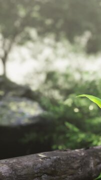 Sunlight filters through dense leaves, creating a tranquil atmosphere. Dew drops sparkle on lush green foliage, celebrating the beauty of nature in early morning light.