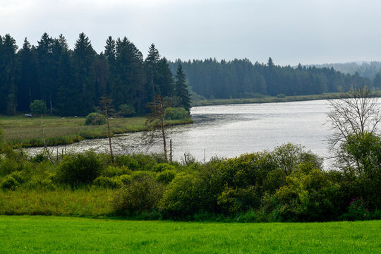 Der Elbsee, Moorsee bei Aitrang im bayerischen Ostallg&auml;u	