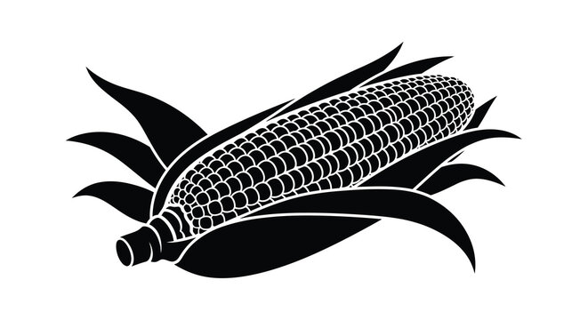 A black and white illustration of a single ear of corn with husks