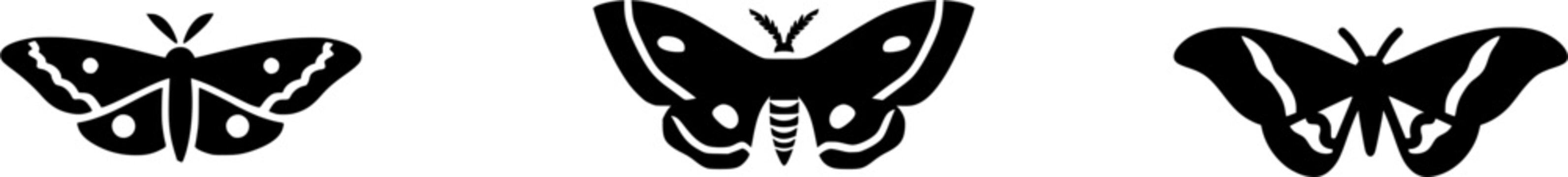 A detailed cecropia moth rests on a flat surface in bold black ink outline against a solid white background, showcasing sharp contrast and clear borders for vectorization