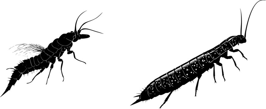 A detailed dobsonfly larva hellgrammite illustration in a stark black silhouette, flat vector style, isolated on pure white background with crisp high contrast edges, minimalist stencil design