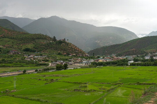 Paro Bhutan, view across rice fields to township in distance