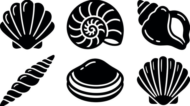 Black and white shell shapes collection vector art with spiral conch and scallop icons