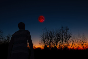 Amateur astronomer observing stars, planets, Moon eclipse and other celestial objects.