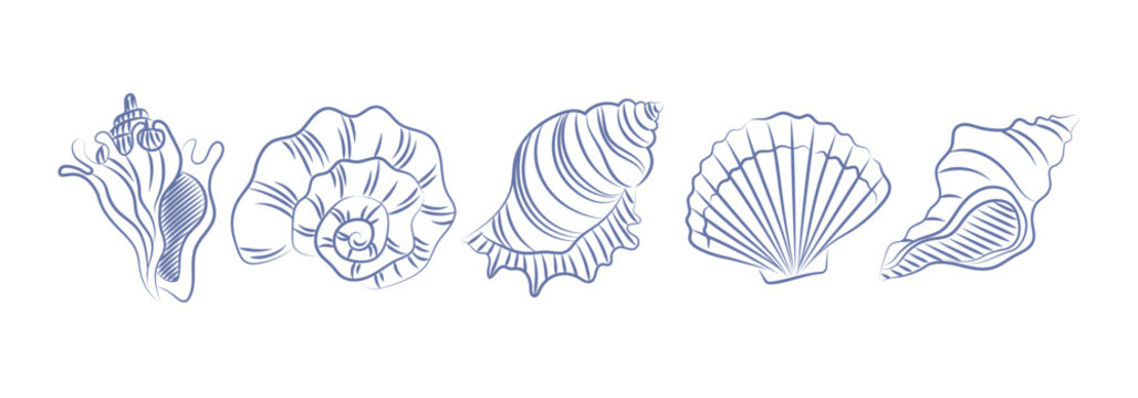 Vintage pen drawn seashell set. Trending doodle elements isolated on white background. Vector illustrations for coastal and retro themes
