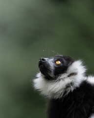 Patrz w górę © Maciej