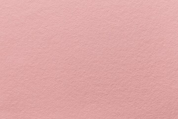 Fototapeta premium Soft pink textured background with copy space
