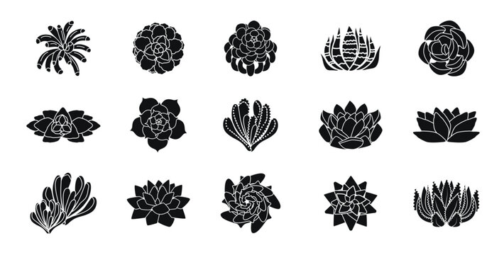 Minimalist of two agave plants in a simple flat design style. Collection of different succulent and cactus silhouettes in black pots on white background  decoration, vector illustration.