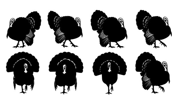 Black turkey bird vector silhouette set farm and holiday