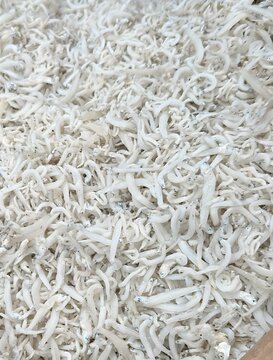 Close-up of the texture of raw dried whitebait (teri nasi), a high-quality ingredient used in traditional cooking in Indonesia