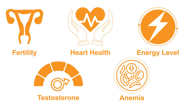 Modern testosterone icon representing male hormone balance, cardiovascular health, anemia awareness, energy levels, and fertility in a clean minimal vector style ideal for healthcare design.